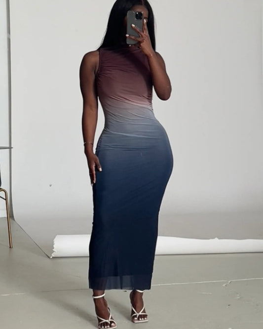 1729# Sleeveless Printed Mesh Dress