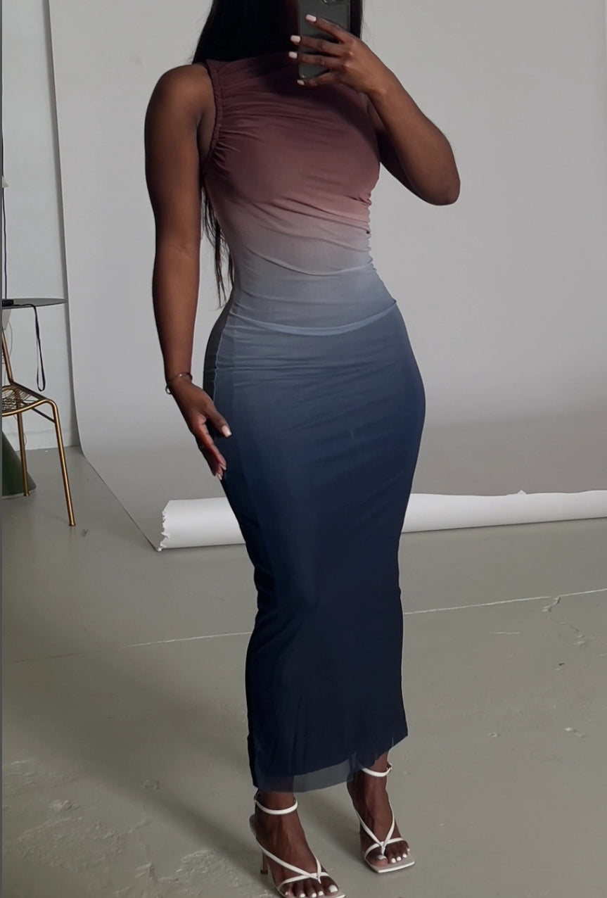 1729# Sleeveless Printed Mesh Dress